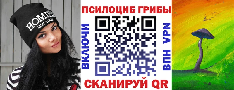Псилоцибиновые грибы Cubensis  Купить где  Галич 